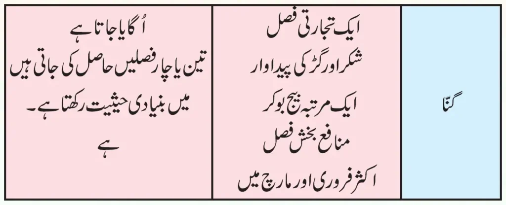 KSEEB Solutions For Class 7 Urdu Lesson Ganna | ہفتم جماعت اُردو نوٹس سبق گنّا 7 - Study Manzil Notes KSEEB Solutions For Class 7 Urdu Lesson Ganna | ہفتم جماعت اُردو نوٹس سبق گنّا