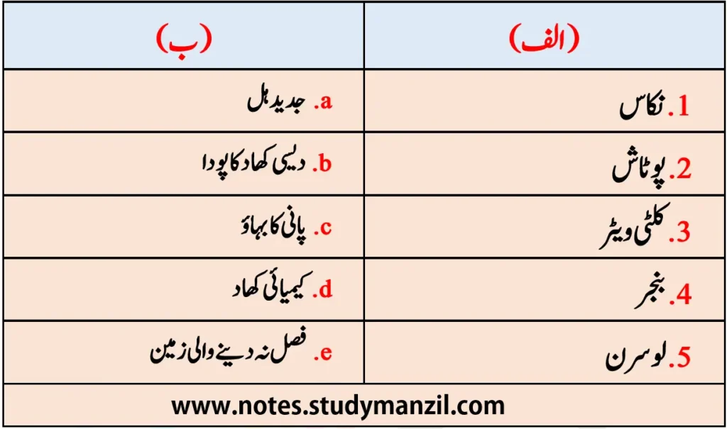 KSEEB Solutions For Class 7 Urdu Lesson Ganna | ہفتم جماعت اُردو نوٹس سبق گنّا 5 - Study Manzil Notes KSEEB Solutions For Class 7 Urdu Lesson Ganna | ہفتم جماعت اُردو نوٹس سبق گنّا