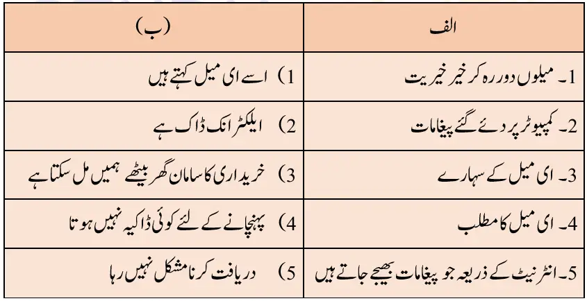 Notes For Class 5 Urdu Lesson Internet |  پنجم جماعت اُردو نوٹس سبق انٹرنیٹ