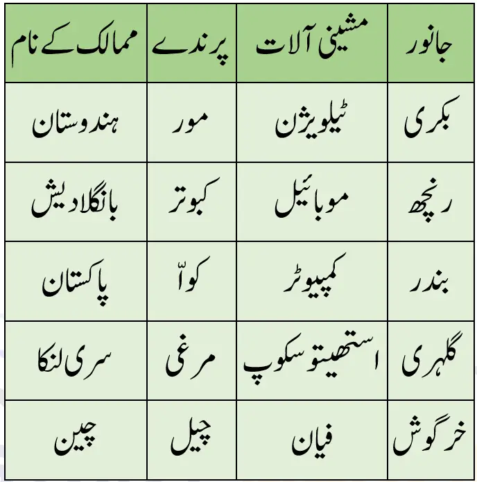 Notes For Class 5 Urdu Lesson Internet |  پنجم جماعت اُردو نوٹس سبق انٹرنیٹ