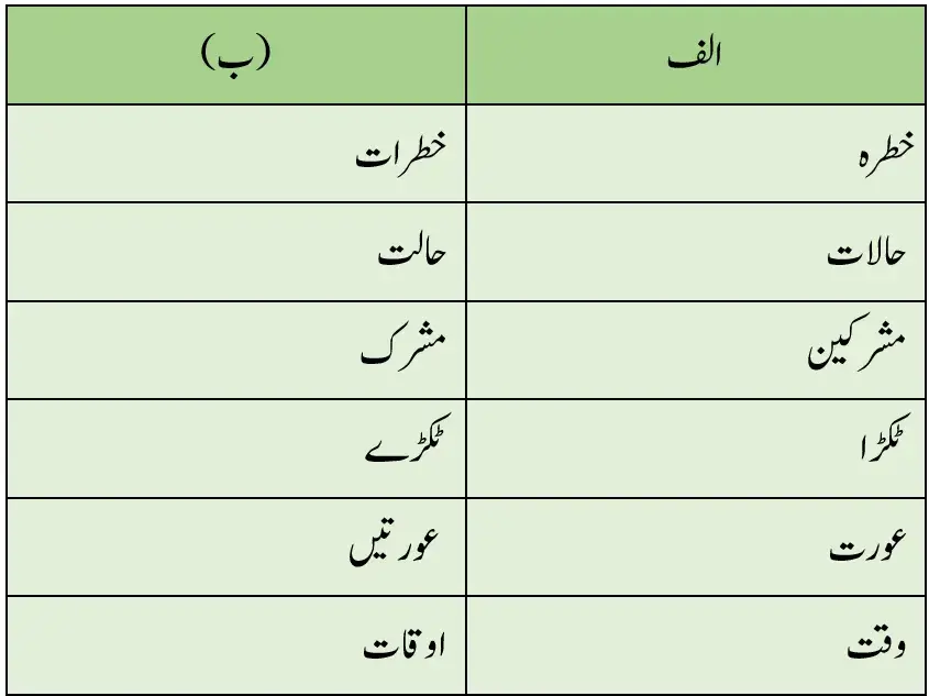 Notes For Class 7 Urdu Lesson Bahadur Khatoon |  ہفتم جماعت اُردو نوٹس سبق  بہادُر خاتون