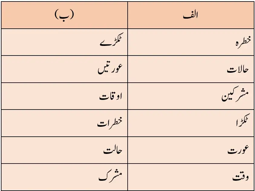 Notes For Class 7 Urdu Lesson Bahadur Khatoon |  ہفتم جماعت اُردو نوٹس سبق  بہادُر خاتون