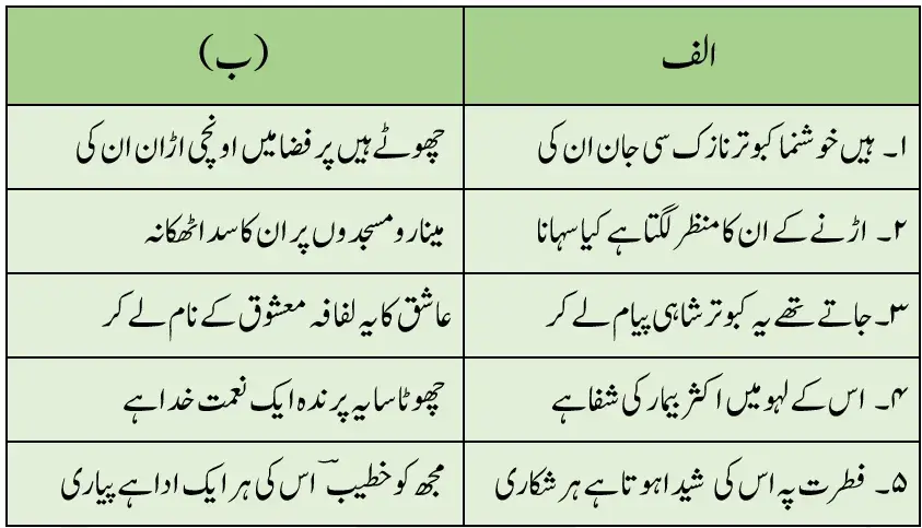 Notes For Class 7 Urdu Lesson Kabutar | ہفتم جماعت اُردو نوٹس سبق کبوتر