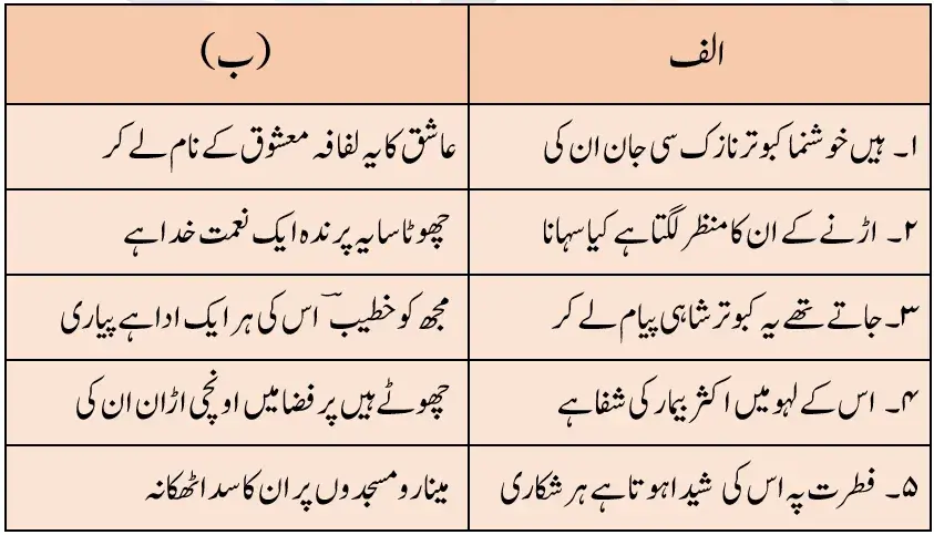 Notes For Class 7 Urdu Lesson Kabutar |  ہفتم جماعت اُردو نوٹس سبق کبوتر