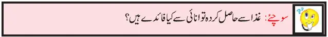 Notes For Class 5 EVS Jandaro Ki Dunia | پنجم جماعت ماحولیاتی مطالعہ نوٹس سبق جانداروں کی دنیا 8 - Study Manzil Notes Notes For Class 5 EVS Jandaro Ki Dunia | پنجم جماعت ماحولیاتی مطالعہ نوٹس سبق جانداروں کی دنیا