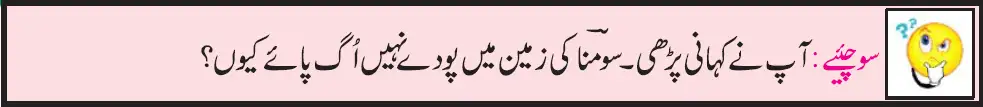 Notes For Class 5 EVS Jandaro Ki Dunia | پنجم جماعت ماحولیاتی مطالعہ نوٹس سبق جانداروں کی دنیا 4 - Study Manzil Notes Notes For Class 5 EVS Jandaro Ki Dunia | پنجم جماعت ماحولیاتی مطالعہ نوٹس سبق جانداروں کی دنیا