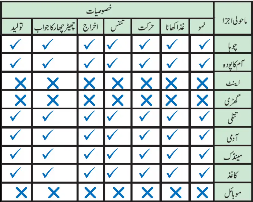 Notes For Class 5 EVS Jandaro Ki Dunia | پنجم جماعت ماحولیاتی مطالعہ نوٹس سبق جانداروں کی دنیا 5 - Study Manzil Notes Notes For Class 5 EVS Jandaro Ki Dunia | پنجم جماعت ماحولیاتی مطالعہ نوٹس سبق جانداروں کی دنیا