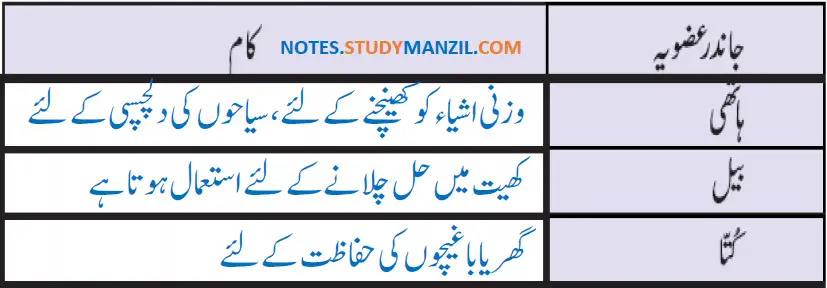 Notes For Class 5 EVS Jandaro Ki Dunia | پنجم جماعت ماحولیاتی مطالعہ نوٹس سبق جانداروں کی دنیا 9 - Study Manzil Notes Notes For Class 5 EVS Jandaro Ki Dunia | پنجم جماعت ماحولیاتی مطالعہ نوٹس سبق جانداروں کی دنیا