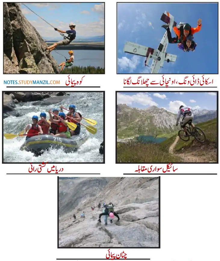 Notes For Class 5 EVS Community k Khel | پنجم جماعت ماحولیاتی مطالعہ نوٹس سبق کمیونٹی کے کھیل 6 - Study Manzil Notes Notes For Class 5 EVS Community k Khel | پنجم جماعت ماحولیاتی مطالعہ نوٹس سبق کمیونٹی کے کھیل