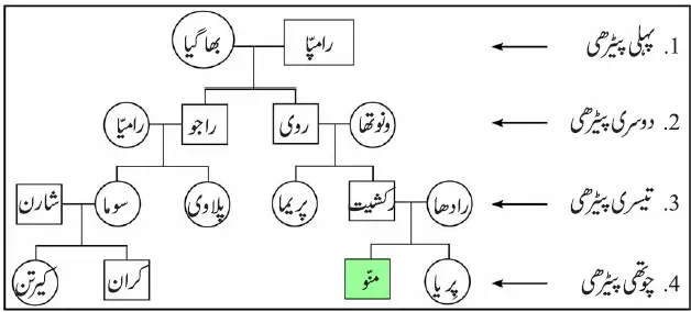 Notes For Class 5 EVS Family Ya Khandan | پنجم جماعت ماحولیاتی مطالعہ نوٹس سبق فیملی یا خاندان 3 - Study Manzil Notes Notes For Class 5 EVS Family Ya Khandan | پنجم جماعت ماحولیاتی مطالعہ نوٹس سبق فیملی یا خاندان