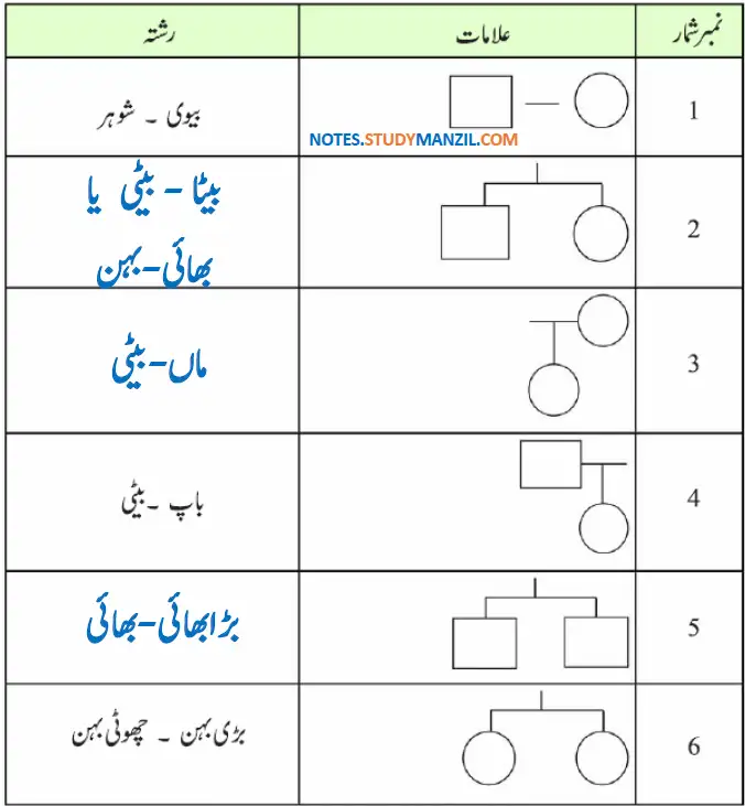 Notes For Class 5 EVS Family Ya Khandan | پنجم جماعت ماحولیاتی مطالعہ نوٹس سبق فیملی یا خاندان 5 - Study Manzil Notes Notes For Class 5 EVS Family Ya Khandan | پنجم جماعت ماحولیاتی مطالعہ نوٹس سبق فیملی یا خاندان
