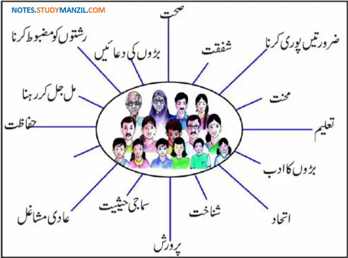 Notes For Class 5 EVS Family Ya Khandan | پنجم جماعت ماحولیاتی مطالعہ نوٹس سبق فیملی یا خاندان 11 - Study Manzil Notes Notes For Class 5 EVS Family Ya Khandan | پنجم جماعت ماحولیاتی مطالعہ نوٹس سبق فیملی یا خاندان