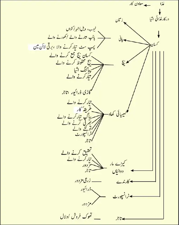 Notes For Class 5 EVS Lesson Tabqa | پنجم جماعت ماحولیاتی مطالعہ نوٹس سبق طبقہ 16 - Study Manzil Notes Notes For Class 5 EVS Lesson Tabqa | پنجم جماعت ماحولیاتی مطالعہ نوٹس سبق طبقہ