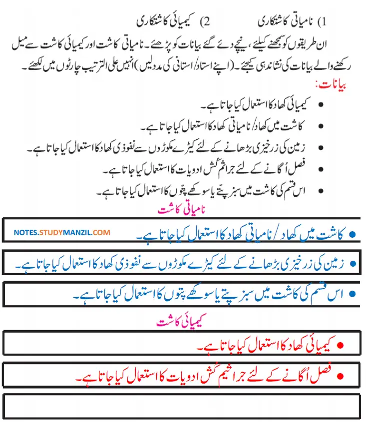 Notes For Class 5 EVS Lesson Zirat (Kashtkari) | پنجم جماعت ماحولیاتی مطالعہ نوٹس سبق زراعت (کاشت کاری) 16 - Study Manzil Notes Notes For Class 5 EVS Lesson Zirat (Kashtkari) | پنجم جماعت ماحولیاتی مطالعہ نوٹس سبق زراعت (کاشت کاری)