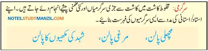 Notes For Class 5 EVS Lesson Zirat (Kashtkari) | پنجم جماعت ماحولیاتی مطالعہ نوٹس سبق زراعت (کاشت کاری) 17 - Study Manzil Notes Notes For Class 5 EVS Lesson Zirat (Kashtkari) | پنجم جماعت ماحولیاتی مطالعہ نوٹس سبق زراعت (کاشت کاری)