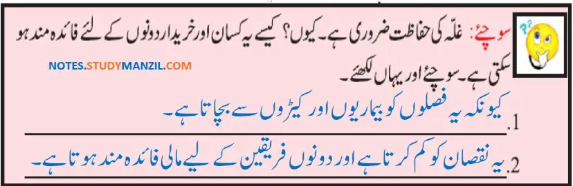 Notes For Class 5 EVS Lesson Zirat (Kashtkari) | پنجم جماعت ماحولیاتی مطالعہ نوٹس سبق زراعت (کاشت کاری) 20 - Study Manzil Notes Notes For Class 5 EVS Lesson Zirat (Kashtkari) | پنجم جماعت ماحولیاتی مطالعہ نوٹس سبق زراعت (کاشت کاری)