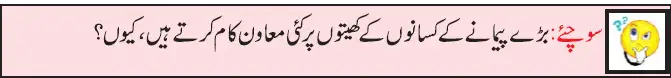 Notes For Class 5 EVS Lesson Zirat (Kashtkari) | پنجم جماعت ماحولیاتی مطالعہ نوٹس سبق زراعت (کاشت کاری) 12 - Study Manzil Notes Notes For Class 5 EVS Lesson Zirat (Kashtkari) | پنجم جماعت ماحولیاتی مطالعہ نوٹس سبق زراعت (کاشت کاری)