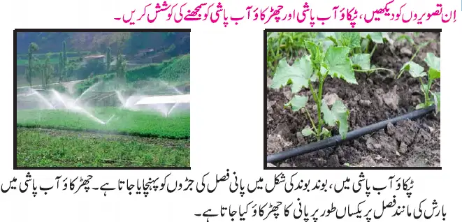 Notes For Class 5 EVS Lesson Zirat (Kashtkari) | پنجم جماعت ماحولیاتی مطالعہ نوٹس سبق زراعت (کاشت کاری) 13 - Study Manzil Notes Notes For Class 5 EVS Lesson Zirat (Kashtkari) | پنجم جماعت ماحولیاتی مطالعہ نوٹس سبق زراعت (کاشت کاری)