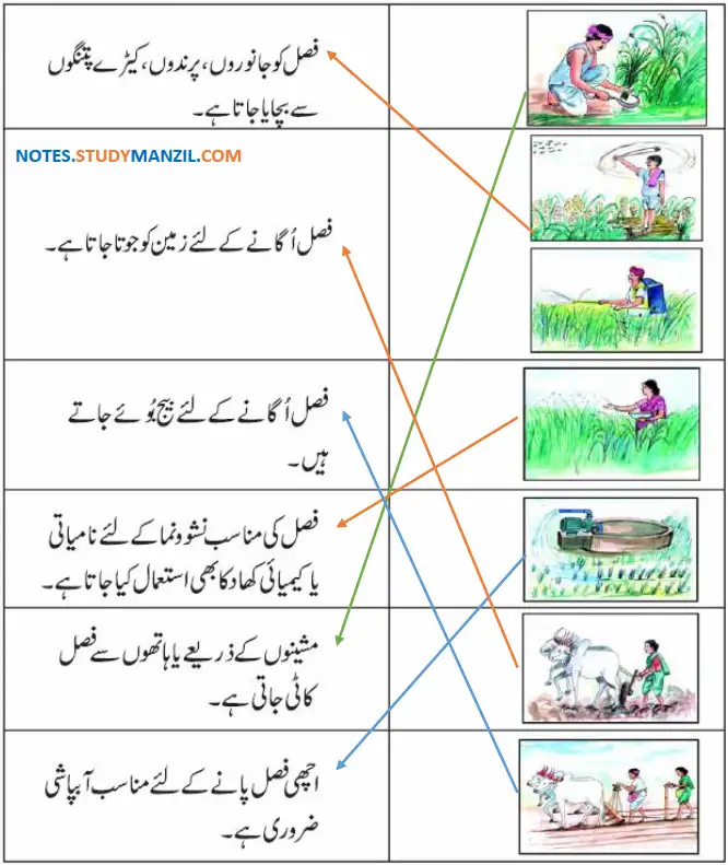 Notes For Class 5 EVS Lesson Zirat (Kashtkari) | پنجم جماعت ماحولیاتی مطالعہ نوٹس سبق زراعت (کاشت کاری) 4 - Study Manzil Notes Notes For Class 5 EVS Lesson Zirat (Kashtkari) | پنجم جماعت ماحولیاتی مطالعہ نوٹس سبق زراعت (کاشت کاری)
