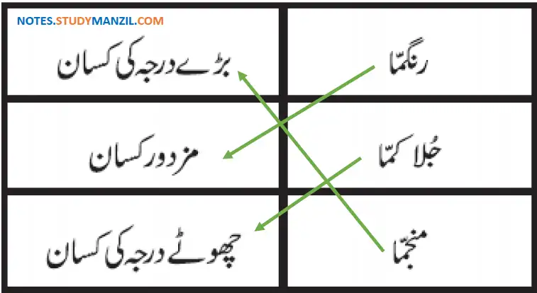 Notes For Class 5 EVS Lesson Zirat (Kashtkari) | پنجم جماعت ماحولیاتی مطالعہ نوٹس سبق زراعت (کاشت کاری) 6 - Study Manzil Notes Notes For Class 5 EVS Lesson Zirat (Kashtkari) | پنجم جماعت ماحولیاتی مطالعہ نوٹس سبق زراعت (کاشت کاری)