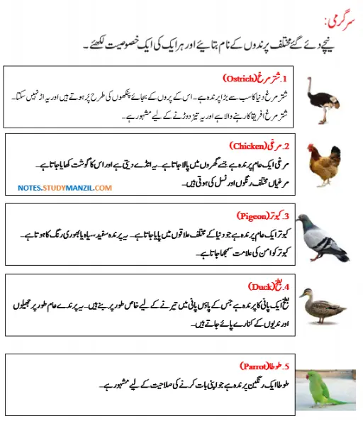 Notes For Class 5 Urdu Lesson Chidya | پنجم جماعت اُردو نوٹس سبق چڑیا | www.notes.studymanzil.com