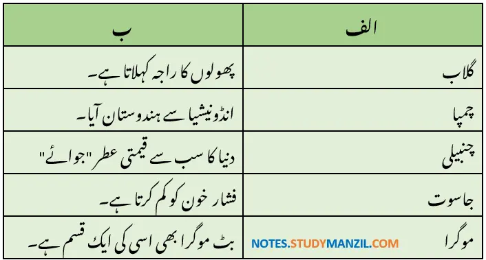 Notes For Class 9 Urdu Lesson Phool hi Phool | نہم جماعت اُردو نوٹس سبق پھول ہی پھول | www.notes.studymanzil.com