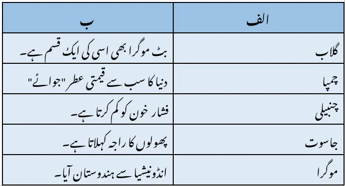 Notes For Class 9 Urdu Lesson Phool hi Phool | نہم جماعت اُردو نوٹس سبق پھول ہی پھول | www.notes.studymanzil.com