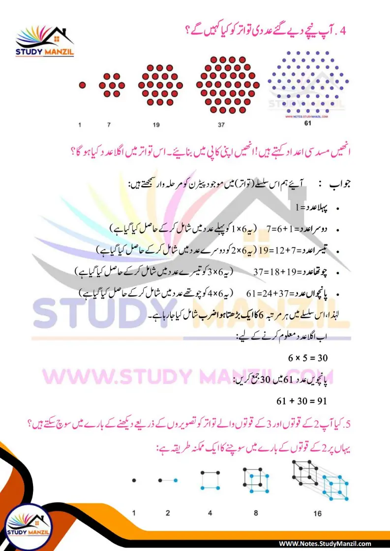NCERT Solutions For Class 6 Maths Chapter-1 Riyazi Me Pattern| ششم جماعت ریاضی نوٹس سبق ریاضی میں پیٹرن 12 - Study Manzil Notes Notes For Class 6 Maths Chapter-1 Riyazi Me Pattern | ششم جماعت ریاضی نوٹس سبق ریاضی میں پیٹرن | www.notes.studymanzil.com