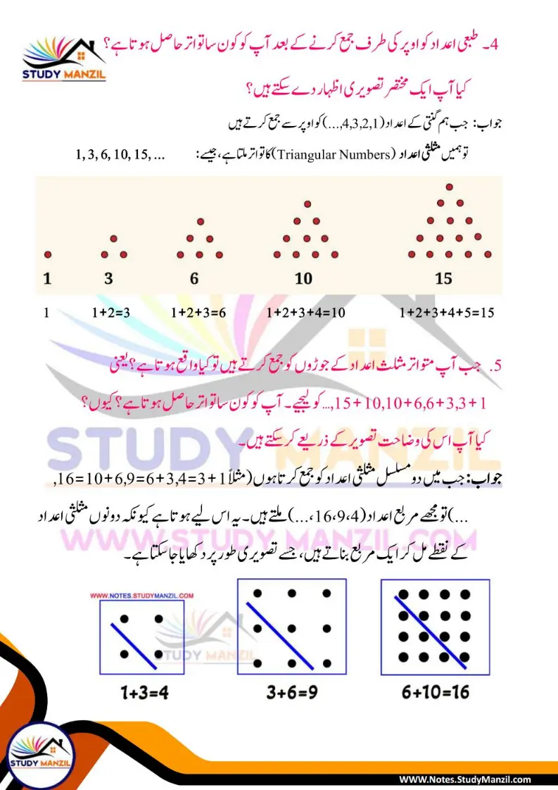 NCERT Solutions For Class 6 Maths Chapter-1 Riyazi Me Pattern| ششم جماعت ریاضی نوٹس سبق ریاضی میں پیٹرن 16 - Study Manzil Notes Notes For Class 6 Maths Chapter-1 Riyazi Me Pattern | ششم جماعت ریاضی نوٹس سبق ریاضی میں پیٹرن | www.notes.studymanzil.com