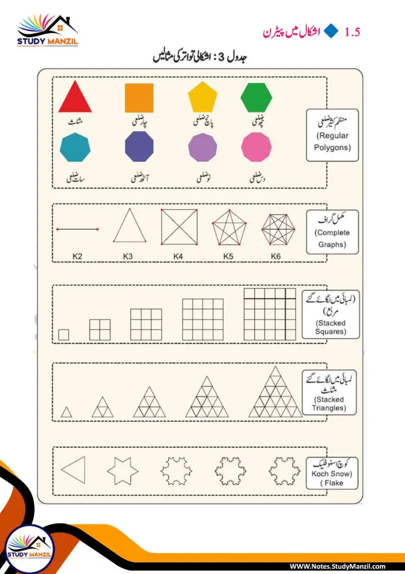 NCERT Solutions For Class 6 Maths Chapter-1 Riyazi Me Pattern| ششم جماعت ریاضی نوٹس سبق ریاضی میں پیٹرن 19 - Study Manzil Notes Notes For Class 6 Maths Chapter-1 Riyazi Me Pattern | ششم جماعت ریاضی نوٹس سبق ریاضی میں پیٹرن | www.notes.studymanzil.com