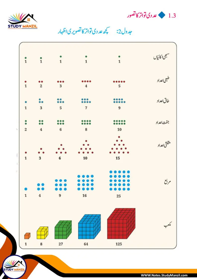 NCERT Solutions For Class 6 Maths Chapter-1 Riyazi Me Pattern| ششم جماعت ریاضی نوٹس سبق ریاضی میں پیٹرن 9 - Study Manzil Notes Notes For Class 6 Maths Chapter-1 Riyazi Me Pattern | ششم جماعت ریاضی نوٹس سبق ریاضی میں پیٹرن | www.notes.studymanzil.com