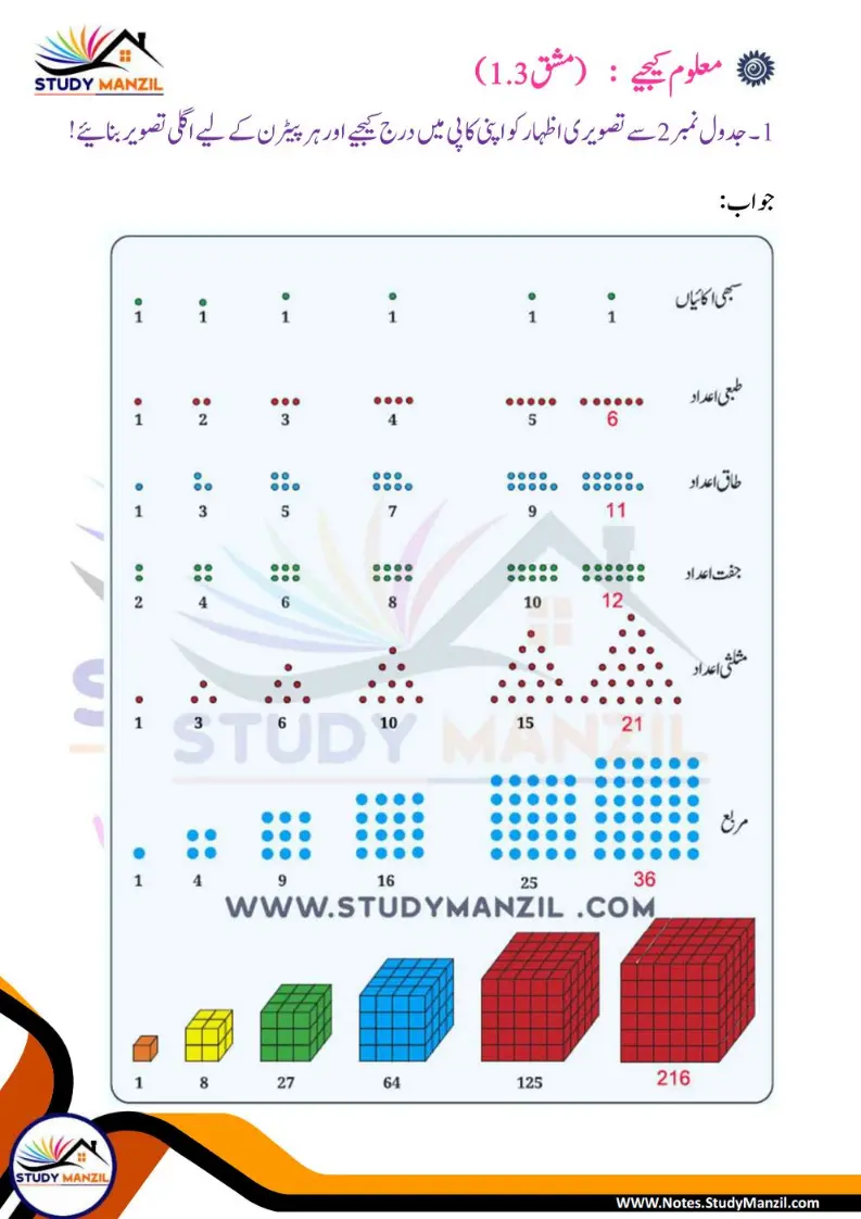 NCERT Solutions For Class 6 Maths Chapter-1 Riyazi Me Pattern| ششم جماعت ریاضی نوٹس سبق ریاضی میں پیٹرن 10 - Study Manzil Notes Notes For Class 6 Maths Chapter-1 Riyazi Me Pattern | ششم جماعت ریاضی نوٹس سبق ریاضی میں پیٹرن | www.notes.studymanzil.com