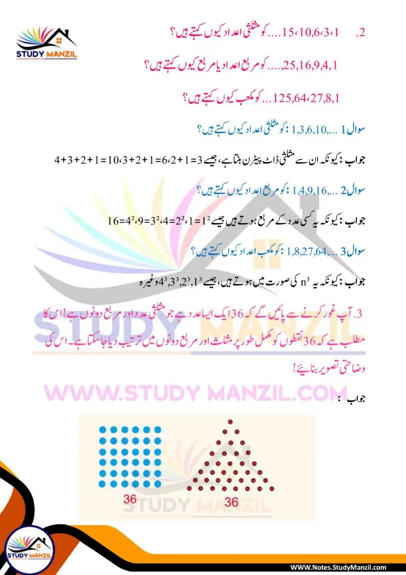 NCERT Solutions For Class 6 Maths Chapter-1 Riyazi Me Pattern| ششم جماعت ریاضی نوٹس سبق ریاضی میں پیٹرن 11 - Study Manzil Notes Notes For Class 6 Maths Chapter-1 Riyazi Me Pattern | ششم جماعت ریاضی نوٹس سبق ریاضی میں پیٹرن | www.notes.studymanzil.com