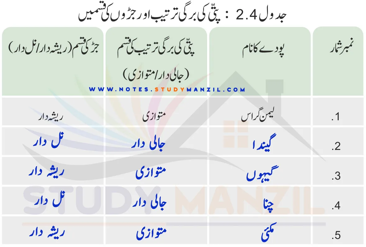 Notes For Class 6 Science Chapter-2 Jandaron Ki Dunya Me Tanu| ششم جماعت سائنس نوٹس سبق جانداروں کی دنیا میں تنوع 14 - Study Manzil Notes Notes For Class 6 Science Chapter-2 Jandaron Ki Dunya Me Tanu | ششم جماعت سائنس نوٹس سبق جانداروں کی دنیا میں تنوع | www.notes.studymanzil.com