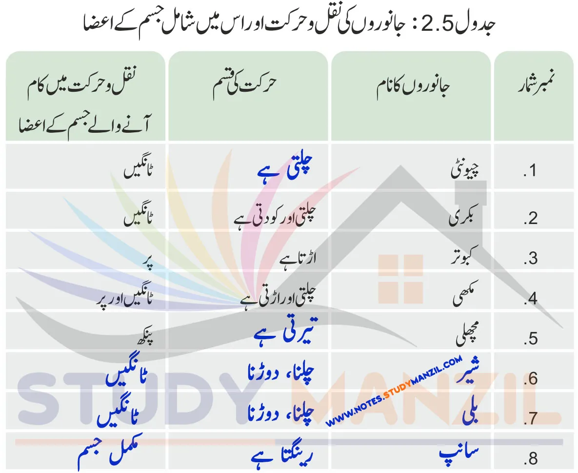 Notes For Class 6 Science Chapter-2 Jandaron Ki Dunya Me Tanu| ششم جماعت سائنس نوٹس سبق جانداروں کی دنیا میں تنوع 15 - Study Manzil Notes Notes For Class 6 Science Chapter-2 Jandaron Ki Dunya Me Tanu | ششم جماعت سائنس نوٹس سبق جانداروں کی دنیا میں تنوع | www.notes.studymanzil.com