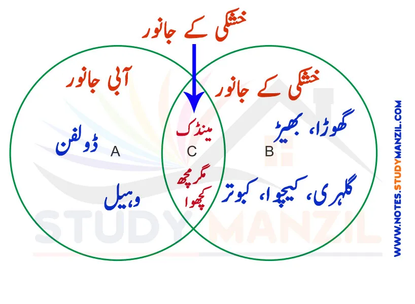 Notes For Class 6 Science Chapter-2 Jandaron Ki Dunya Me Tanu| ششم جماعت سائنس نوٹس سبق جانداروں کی دنیا میں تنوع 5 - Study Manzil Notes Notes For Class 6 Science Chapter-2 Jandaron Ki Dunya Me Tanu | ششم جماعت سائنس نوٹس سبق جانداروں کی دنیا میں تنوع | www.notes.studymanzil.com