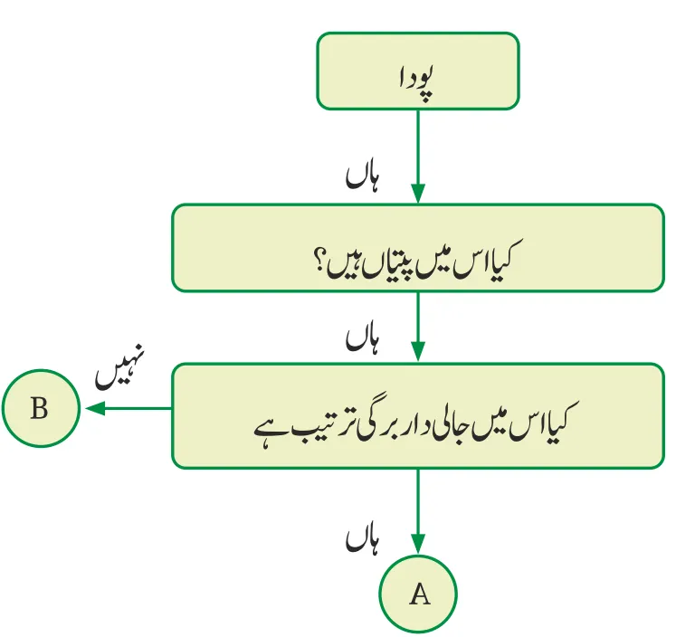 Notes For Class 6 Science Chapter-2 Jandaron Ki Dunya Me Tanu| ششم جماعت سائنس نوٹس سبق جانداروں کی دنیا میں تنوع 7 - Study Manzil Notes Notes For Class 6 Science Chapter-2 Jandaron Ki Dunya Me Tanu | ششم جماعت سائنس نوٹس سبق جانداروں کی دنیا میں تنوع | www.notes.studymanzil.com