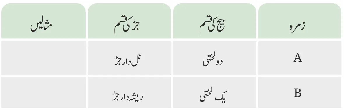 Notes For Class 6 Science Chapter-2 Jandaron Ki Dunya Me Tanu| ششم جماعت سائنس نوٹس سبق جانداروں کی دنیا میں تنوع 8 - Study Manzil Notes Notes For Class 6 Science Chapter-2 Jandaron Ki Dunya Me Tanu | ششم جماعت سائنس نوٹس سبق جانداروں کی دنیا میں تنوع | www.notes.studymanzil.com