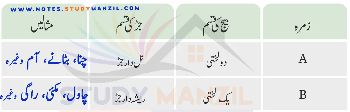 Notes For Class 6 Science Chapter-2 Jandaron Ki Dunya Me Tanu| ششم جماعت سائنس نوٹس سبق جانداروں کی دنیا میں تنوع 9 - Study Manzil Notes Notes For Class 6 Science Chapter-2 Jandaron Ki Dunya Me Tanu | ششم جماعت سائنس نوٹس سبق جانداروں کی دنیا میں تنوع | www.notes.studymanzil.com