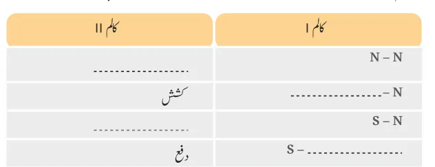 Notes For Class 6 Science Chapter-4 Maqnateson Ki Chaan Bin | ششم جماعت سائنس نوٹس سبق مقناطیسوں کی چھان بین 13 - Study Manzil Notes Notes For Class 6 Science Chapter-4 Maqnateson Ki Chaan Bin | ششم جماعت سائنس نوٹس سبق مقناطیسوں کی چھان بین