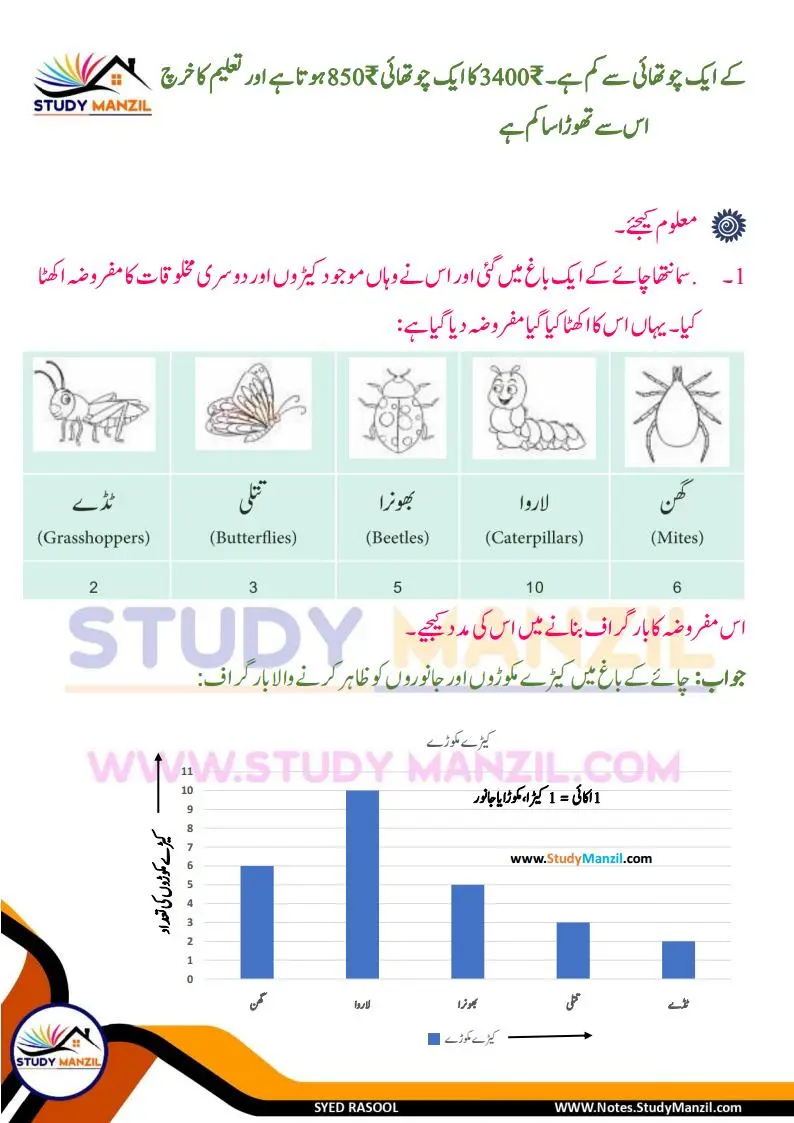Notes For Class 6 Maths Chapter-4 Mafruzat Ka Istemal | ششم جماعت ریاضی نوٹس سبق مفروضات کا استعمال | www.notes.studymanzil.com