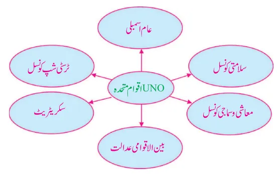 Notes For Class 7 Social Lesson Tanzeem Aqvame Mutahda (UNO) ہفتم جماعت سماجی سائنس نوٹس سبق تنظیم اقوام متحدہ www.notes.studymanzil.com