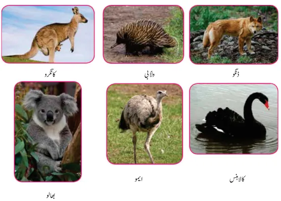 Notes For Class 7 Social Lesson Australia ہفتم جماعت سماجی سائنس نوٹس سبق آسٹریلیا www.notes.studymanzil.com