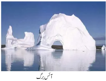 Notes For Class 7 Social Lesson Antarctica ہفتم جماعت سماجی سائنس نوٹس سبق انٹار کٹیکا www.notes.studymanzil.com