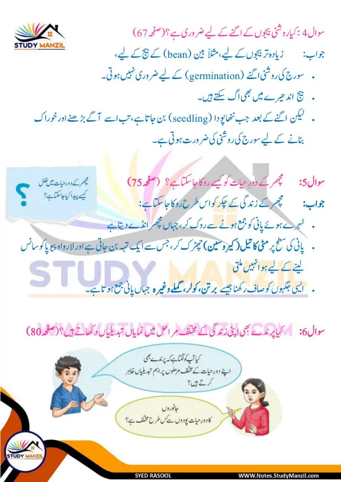 Notes For Class 6 Science Chapter 10 Jandar Makhluqat inki Khususiyat | ششم جماعت سائنس نوٹس سبق جاندار مخلوقات ان کی خصوصیات کی تفتیش| www.notes.studymanzil.com