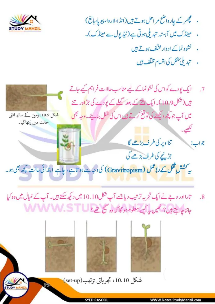 Notes For Class 6 Science Chapter 10 Jandar Makhluqat inki Khususiyat | ششم جماعت سائنس نوٹس سبق جاندار مخلوقات ان کی خصوصیات کی تفتیش| www.notes.studymanzil.com