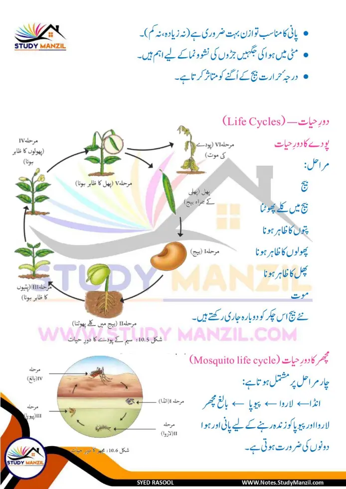 Notes For Class 6 Science Chapter 10 Jandar Makhluqat inki Khususiyat | ششم جماعت سائنس نوٹس سبق جاندار مخلوقات ان کی خصوصیات کی تفتیش| www.notes.studymanzil.com