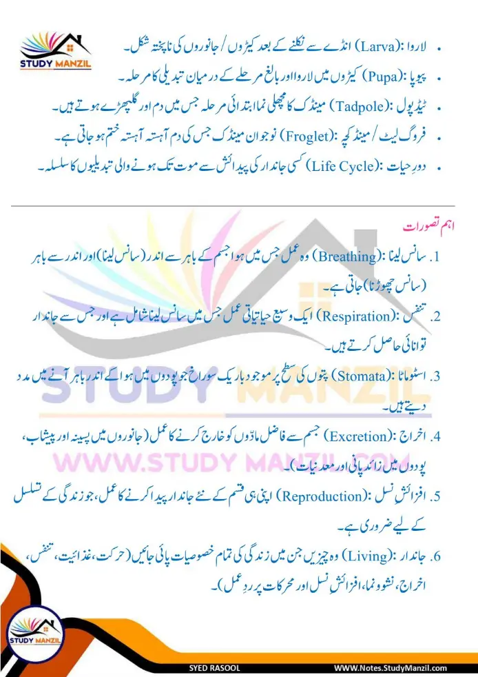 Notes For Class 6 Science Chapter 10 Jandar Makhluqat inki Khususiyat | ششم جماعت سائنس نوٹس سبق جاندار مخلوقات ان کی خصوصیات کی تفتیش| www.notes.studymanzil.com