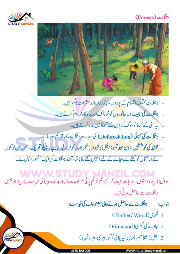 Notes For Class 6 Science Chapter 11 Qudrat k Khazane | ششم جماعت سائنس نوٹس سبق قدرت کے خزانے | www.notes.studymanzil.com