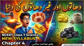 7th-science-chapter-4-dhaton-aur-gairdhaton-ki-dunia